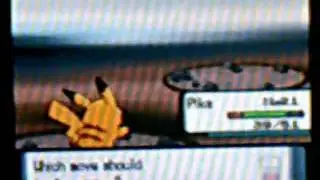 Pikachu solo 2.3: Route 205