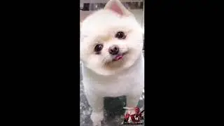 Wao it's amezing | RK Soft Entertainment