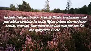 Gru&szlig; zum Wochenbeginn