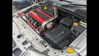 Saabs at Goodwood meet; 22nd September 2024, (Saabs Modified Worldwide Group)