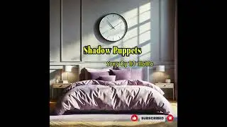 Shadow Puppets // ND MaMa Original Song