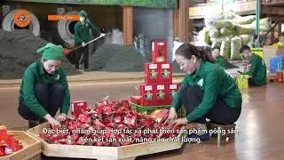 [TIẾNG TÀY] THÁI NGUYÊN HỌC BÁC VỀ PHÁT TRIỂN MÔ HÌNH KINH TẾ TẬP THỂ | VTV5