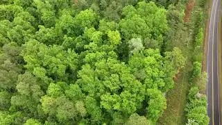 11.065 Acres For Sale in Lancaster County Virginia!