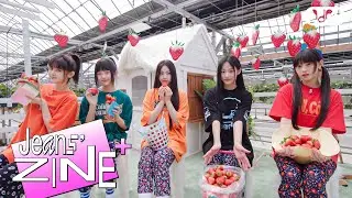 [Jeans' ZINE+] GRANNIE'S FARM🍓.ZIP | NewJeans