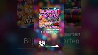 Feest DJ Maarten - Biljarten Biljarten  