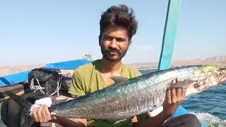 19 February mini fishing vlog in charna island and fish purchasing in sonera