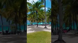 Beautiful view on turquoise blue water #shorts #shortsvideo #shortsviral #caribbean #ocean #travel