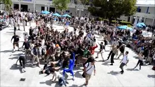 Official Braddock bulldogs HARLEM SHAKE