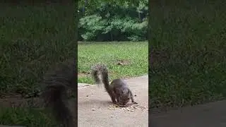 Furry little bastard