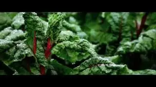 The Future of Hotel Food by Marriott Hotels & River Cottage
