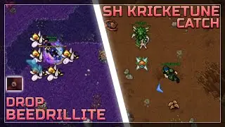 DROP DE BEEDRILLITE & CATCH SHINY KRICKETUNE || PXG CLIPS #96