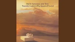 The Play and Display of the Heart