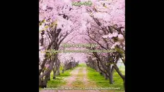 Bubble Sound (ft.Fleekman) &raquo;&raquo;&raquo; Let's Walk Along The Road With Flowers Myanmar Sub