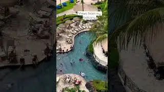 #views #hawaii #travel #experience #vacation #palmtrees #ocean #relaxing