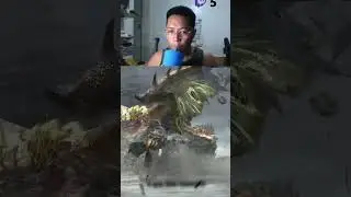 Gold Rathian Tail-Slaps Kushala Daora | My Raw Reaction 😱🔥 #monsterhunterrisesunbreak #monsterhunter