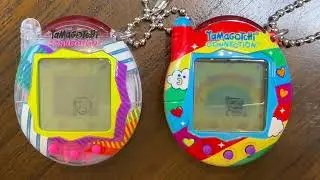 Tamagotchi Connection: Final (probably) Day