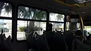 Mexican bus driver techno party Canc&uacute;n