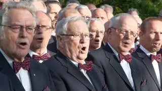 Chr.  Mannenkoor Pro Rege Dokkum e.o.