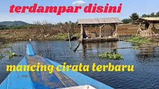 MANCING DI GONGGO PALUMBON!!MANCING CIRATA TERBARU HARI INI 2025