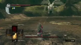 Dark Souls Run 55:Tin Banishment Catalyst Part 2/4