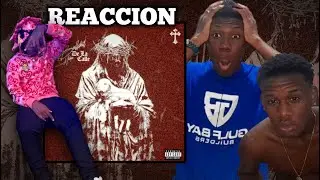 BULLSHIT DE LA CALLE REACCION
