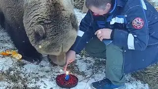Мансурчику 4года!🎉 Счастливый медведь в свой день рождения!🐻💓/Bear Mansur