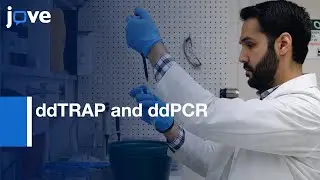 ddTRAP : Telomere Repeat Amplification Protocol for ddPCR | Protocol Preview