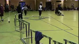 Towson Generals Track and Field (shot put)