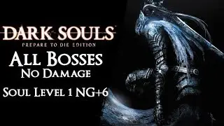 Dark Souls I SL1 NG+6 - All Bosses【No Damage, Blocking, Magic】