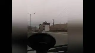 &Ouml;zcan araboğa