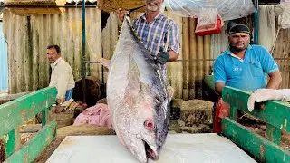 KASIMEDU🔥 MESATH | GAINT YELLOW FIN TUNA FISH CUTTING VIDEO | 4k VIDEO | LIFE OF FISHERMAN⚓️