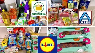 Me gasto 165&euro; en total mi compra mix de Mercadona, Aldi y Lidl 🛒| 🛍️.