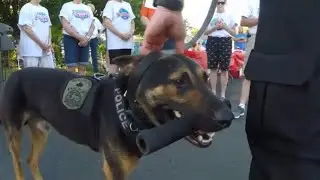 Maple Grove competes for K9 Grant Money
