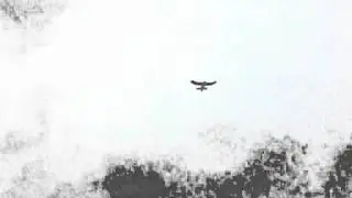 EzFly