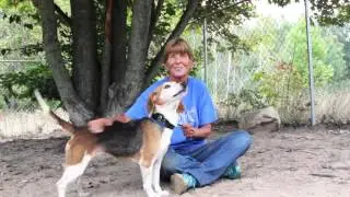 Wags & Whiskers &mdash; Millie