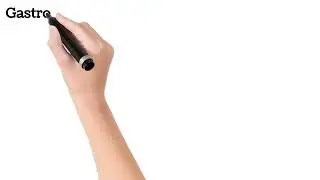 Gastroscope Overview