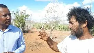 O sr LEOSVALDO HÁ 50 ANOS VIVENDO DO SISAL EM LAGES DO BATATA.