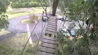 ADVENTURE NEWCASTLE: Tree Top Adventure Park