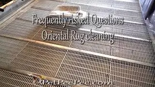State of North Carolina Frequently Asked Question Oriental rug cleaning from urine odor. PetPeePee