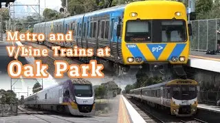 Metro and V/Line Trains at Oak Park