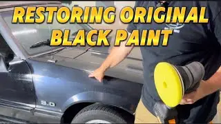 WATCH a Fox Body Mustang TRANSFORMATION - How To Restore Faded Black Paint!