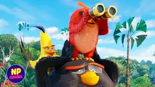 &iexcl;BALA DE CA&Ntilde;&Oacute;N! | Angry Birds 2: La Pel&iacute;cula (2019) | Now Espa&ntilde;ol