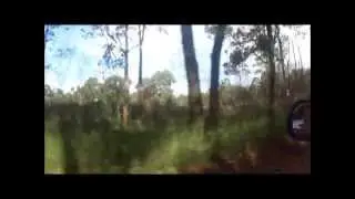 Mulgoa