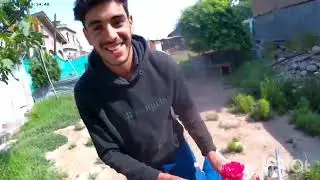 Kashmir ke Apple Ke khet vlogging Kashmiri Apple 🍏