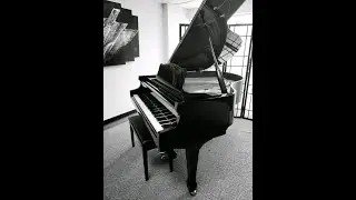 Wm Knabe Baby Grand Piano 5'3