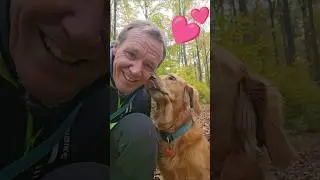 Wie k&uuml;sst ein Golden Retriever - Hunde sind die besten Freunde des Menschen