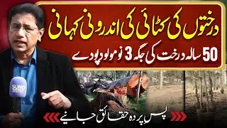 Who&rsquo;s Behind The Tree Cutting in The Islamabad?  - Complete Details | Kamran Khan | Suno Vlogs