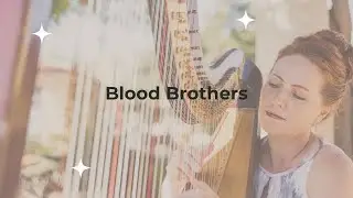 Blood Brothers Iron Maiden | harp cover