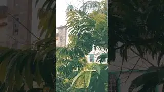 #rain #blessings