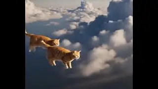 MY CAT DIED SO I MADE A VIDEO OF HIM WITH HES FRIENDS